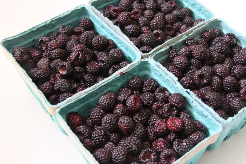 black raspberries