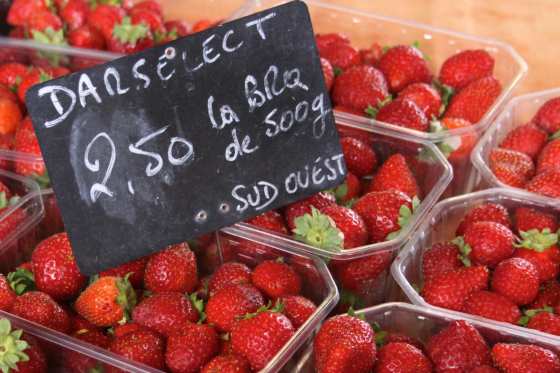 strawberries darselect