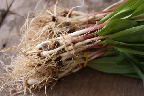 Ramps