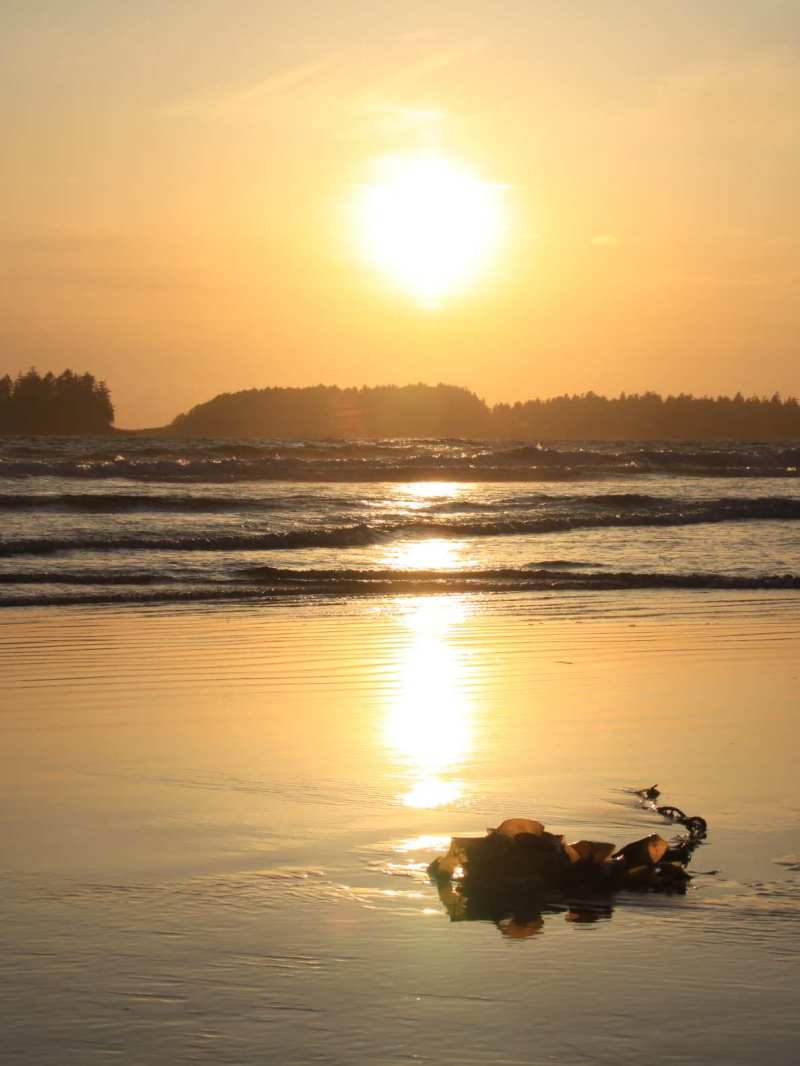 Tofino sunset