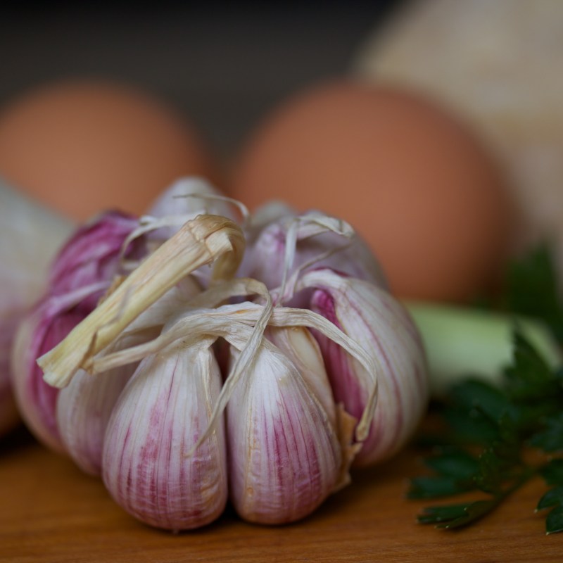 Garlic