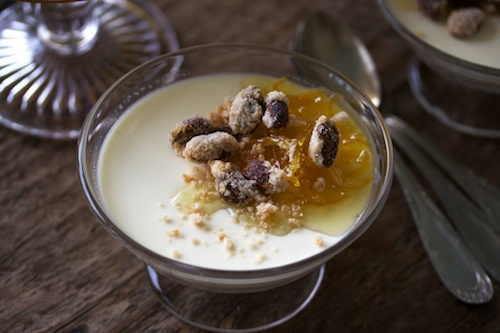 Panna cotta