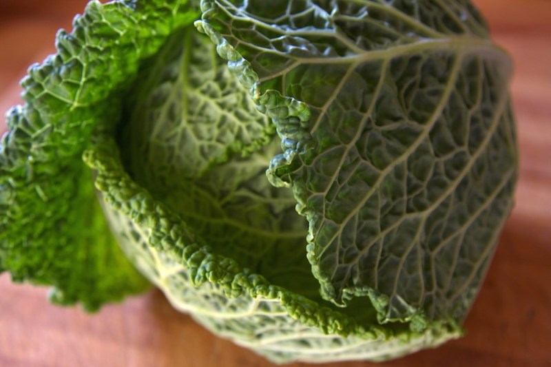 Savoy Cabbage