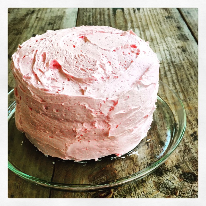Chocolate cake with plum buttercream