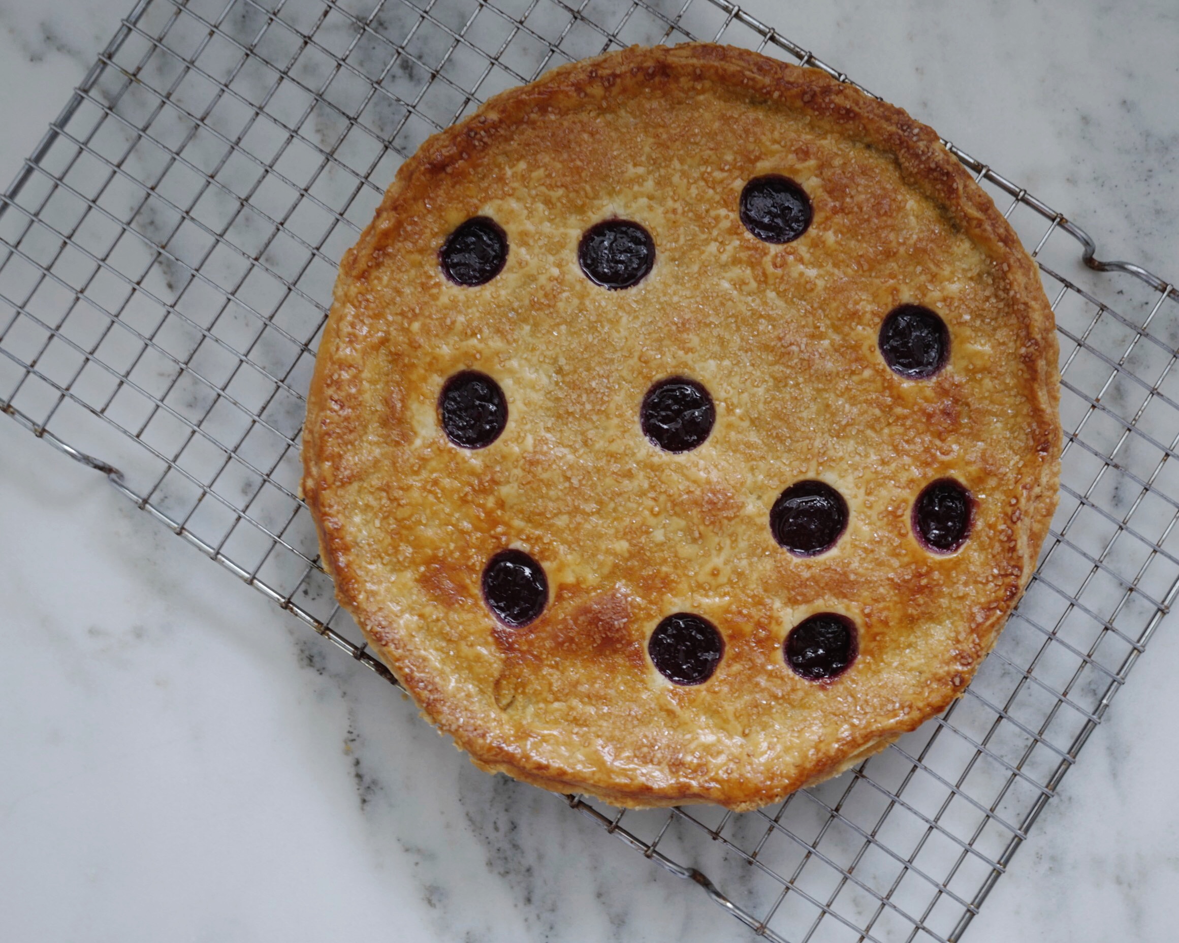 Possibly not concord grape jam tart puts Pop-Tarts® to shame